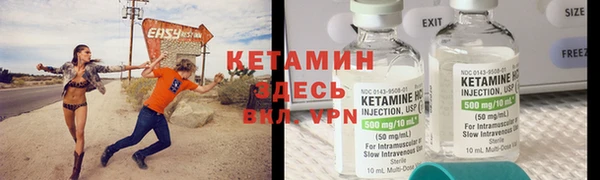 индика Касимов