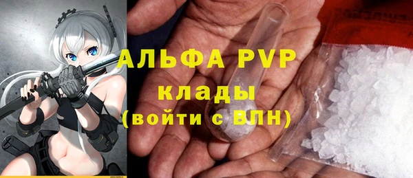 прущий лед Карпинск