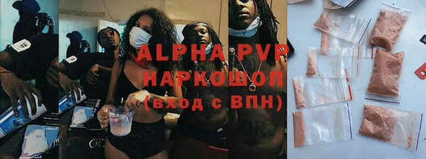 индика Касимов