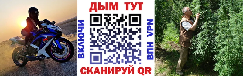 Купить закладки  Злынка  Каннабис SATIVA & INDICA 